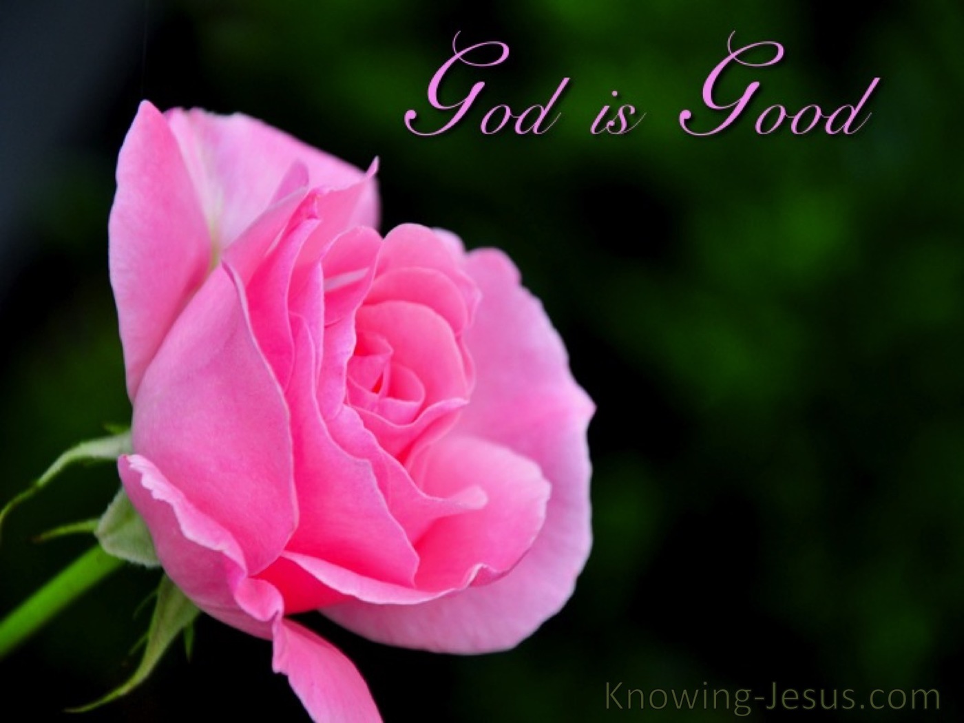 Our Good God (devotional) (devotional)